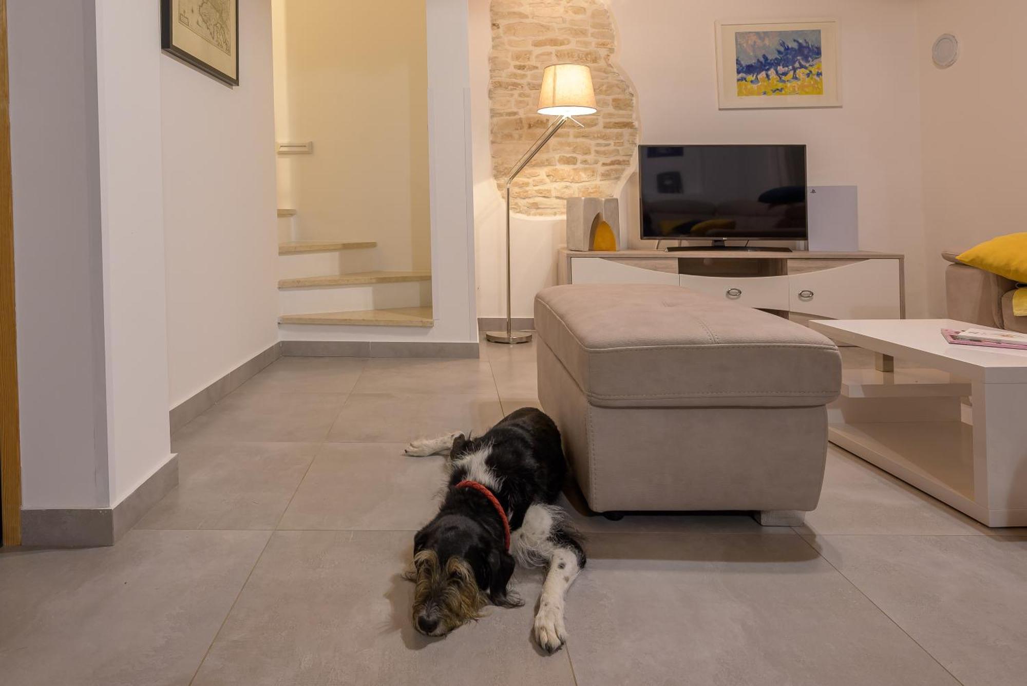 Villa Azinetti Štokovci Eksteriør billede